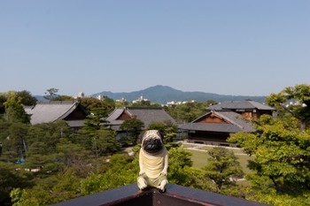 天守閣跡