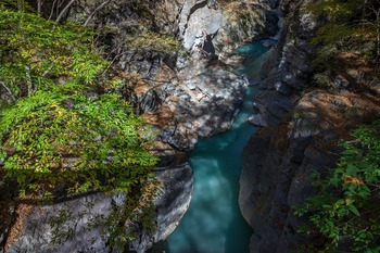 鹿飛橋の影