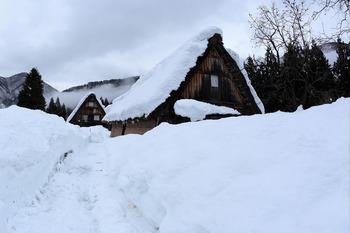 冬の風景