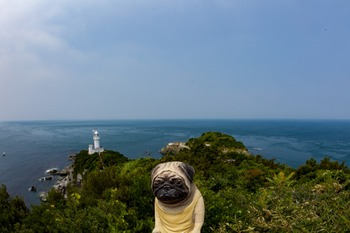 展望台からの眺め