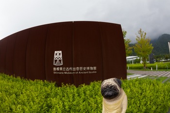 島根県立古代出雲歴史博物館