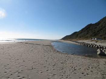 七根海岸 (1).JPG
