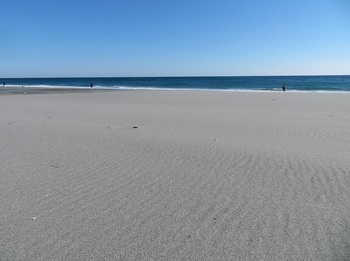 小島町海岸 (2).JPG