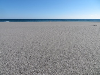 小島町海岸 (3).JPG
