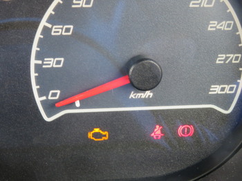 Elise S3_checkenginewarning.jpg
