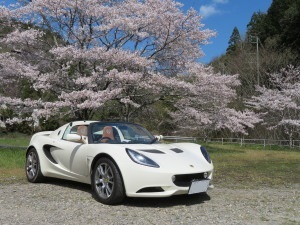 Lotus Elise_sakura2020.jpg