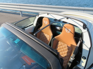 Lotus_Elise_roof (6).jpg