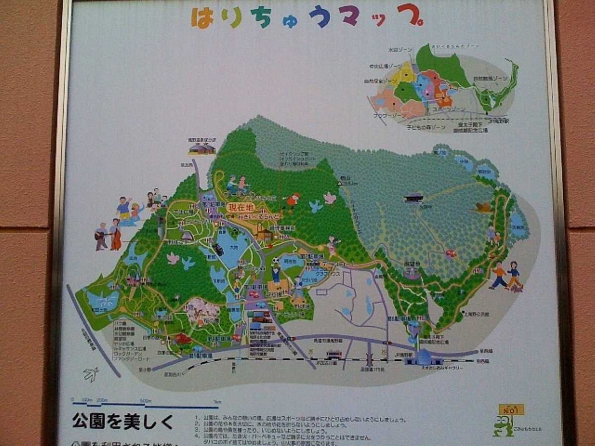 100322播磨中央公園_さいくるらんど4.JPG