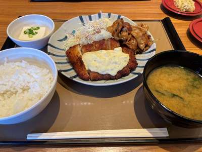 20231105_やよい軒生駒_チキン南蛮としょうが焼定食1.jpg