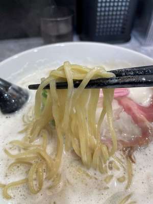 20240616_鶏next_Chicken White麺リフト.JPG