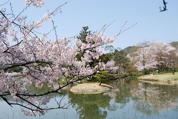 大覚寺1.JPG