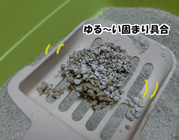 ボロボロ