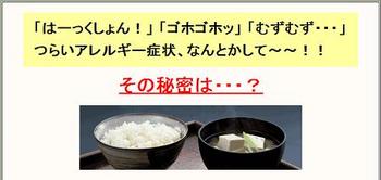 お金のかからない、花粉症・喘息の根本的治療法！！越農隼人の口コミ.jpg