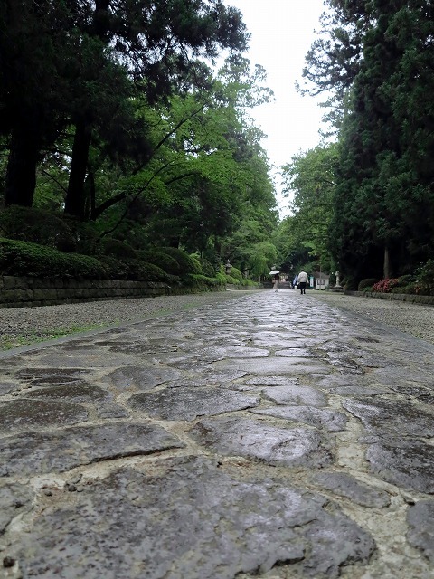 一雨降れば