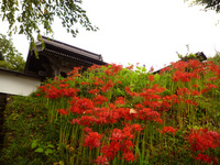 慈恩寺_02.jpg