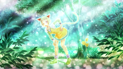 「光の森の猫」01