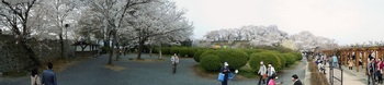 11 鶴山公園　備中櫓前から見た本丸全景.jpg