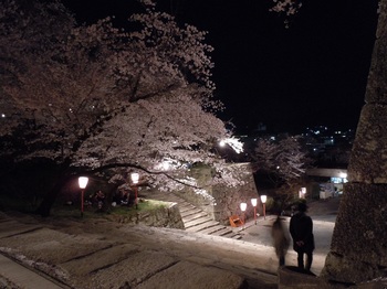 14 鶴山公園　夜桜　三ノ丸から二ノ丸への階段３.JPG