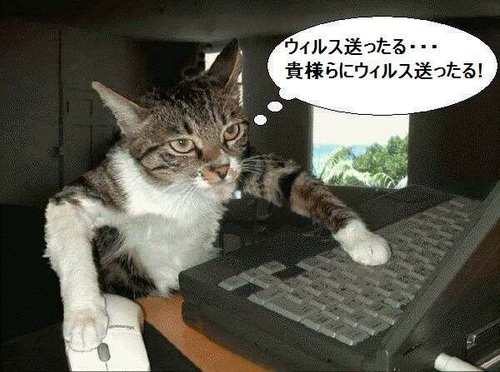 ウイルス猫.jpg