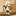 テキストあり.gif