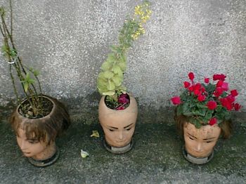 変わった植木鉢.jpg