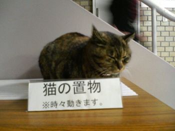 猫の置物.jpg