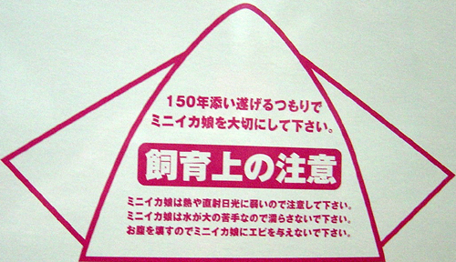 miniIKAmusume-figure4.jpg