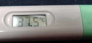 temperature091228.jpg