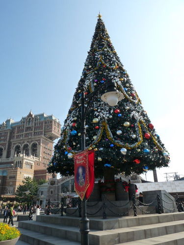 00_クリスマスデコレーション 20091109_008.jpg