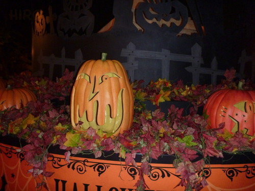 20120904_TDS ハロウィーン 準備中_20.jpg