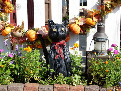 20120908_ケープ_ハロウィーン飾り_14.jpg