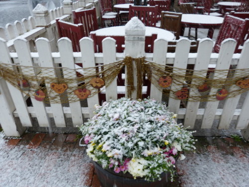 20130114_TDSインレポ 雪_24.jpg