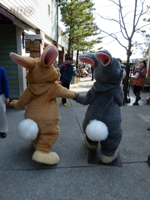 20130302_TDS サンパー＆ミス・バニー_06.jpg