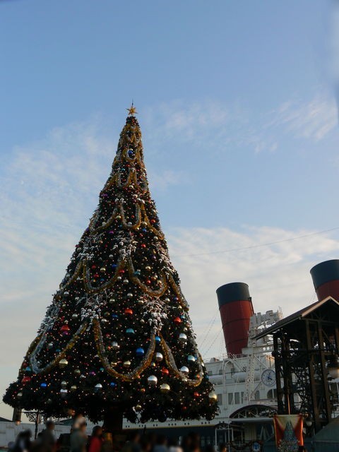 クリスマスツリー TDS 081107_01.jpg