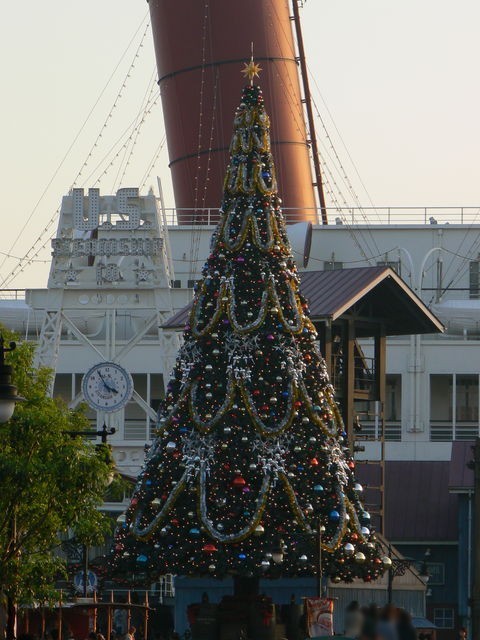 クリスマスツリー TDS 081107_02.jpg