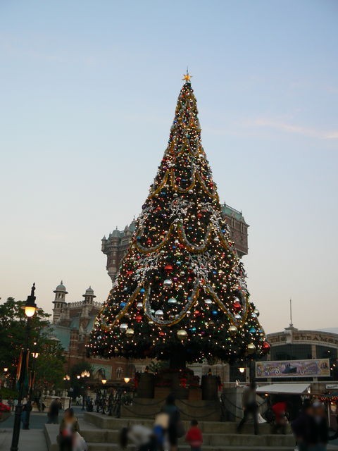 クリスマスツリー TDS 081107_03.jpg