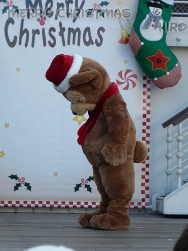 クリスマス・ダッフィー ラストグリ 20101218_13.jpg