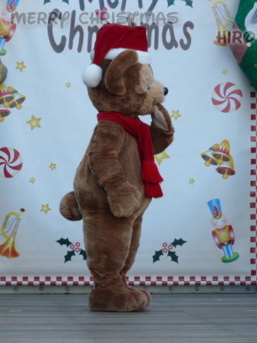 クリスマス・ダッフィー ラストグリ 20101218_25.jpg