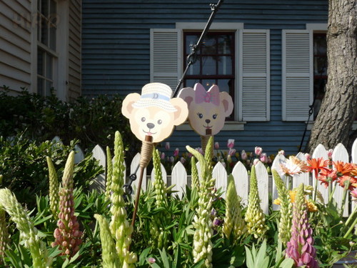 ケープの風景_スプリングヴォヤッジ_20120401_23.jpg