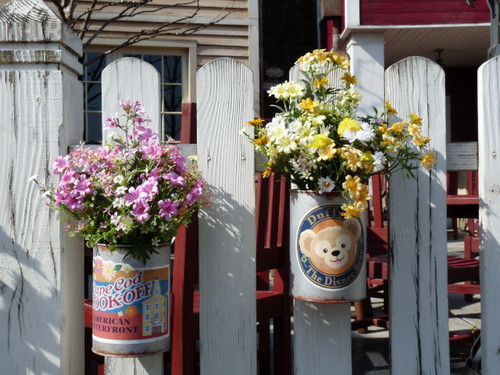 ケープの風景_スプリングヴォヤッジ_20120401_30.jpg