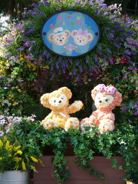 ケープの風景_スプリングヴォヤッジ_20120401_42.jpg