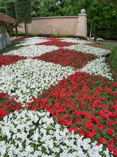 ディズニーランド春の花散歩 20090516_039.jpg