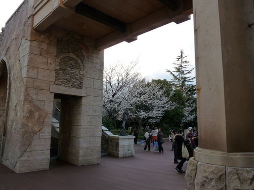 ミラコの桜 20090328_005.jpg