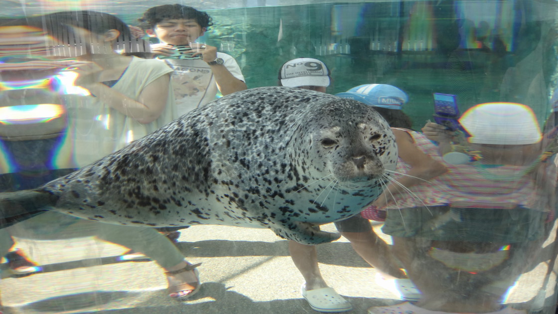 神戸が大好き Ssブログ