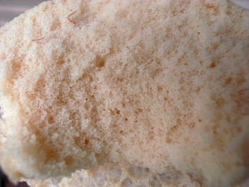 ツタージャのミニ蒸しケーキいちご