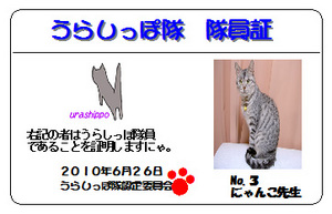 urashippo-no_3.jpg