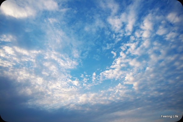 雲の翼.jpg