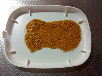 ナスの種