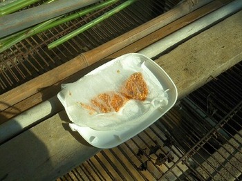 ナスの種