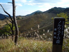 砥峰高原０８.JPG